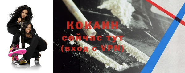 меф Няндома