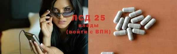 сатива Нягань