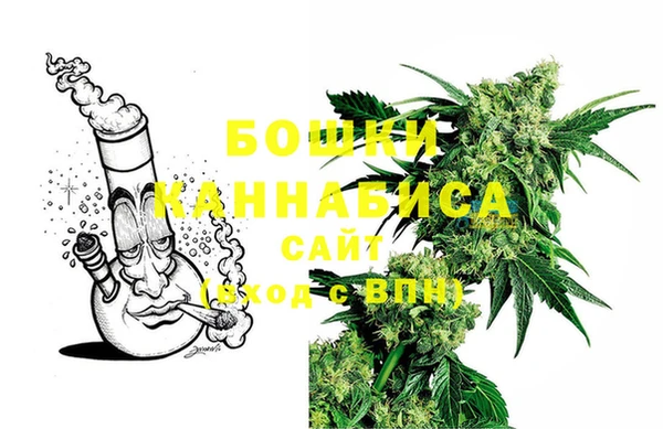 сатива Нягань