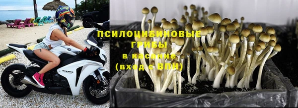 меф Няндома