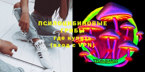 меф Няндома