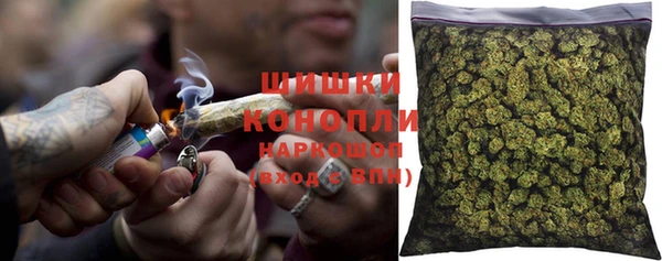 сатива Нягань
