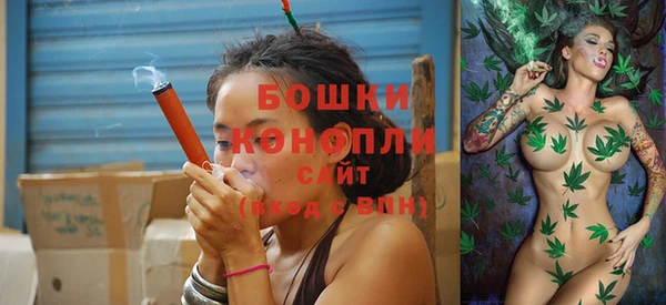 сатива Нягань