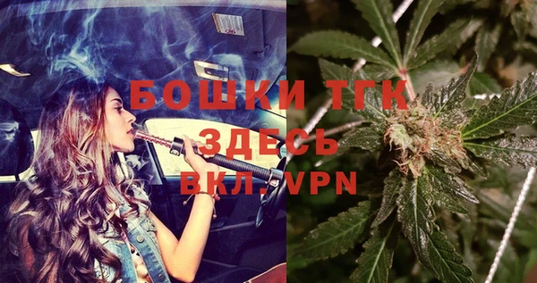 сатива Нягань
