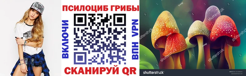 Псилоцибиновые грибы ЛСД MEGA зеркало маркетплейс клад Менделеевск